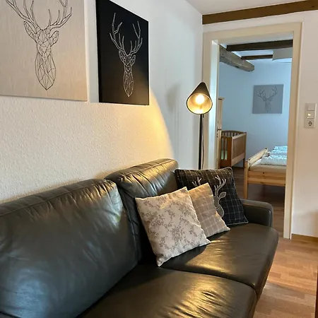 Riekeshof Апартаменты Шмалленберг