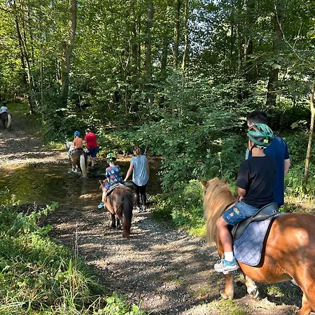 Riekeshof Апартаменты *
