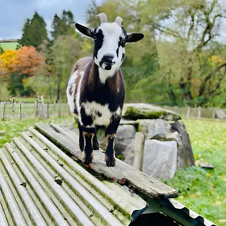 Apartamento Riekeshof *