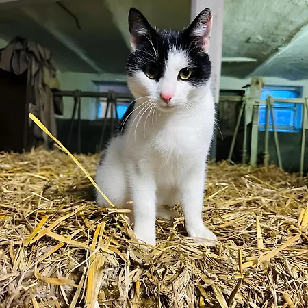 Riekeshof * Schmallenberg