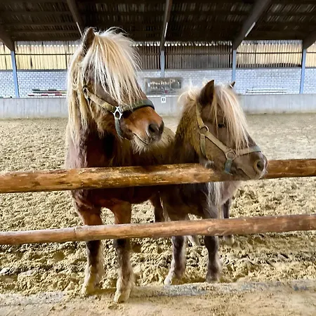 Apartamento Riekeshof