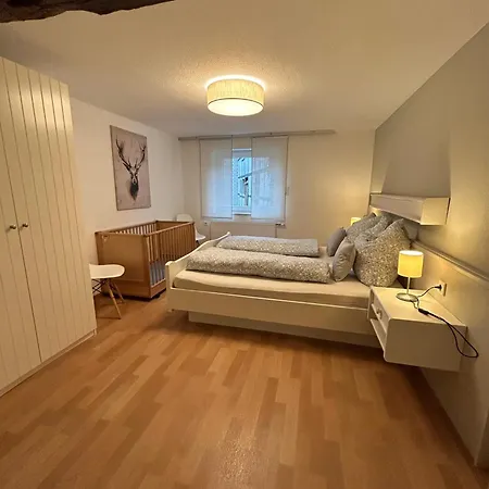 Riekeshof Appartement *