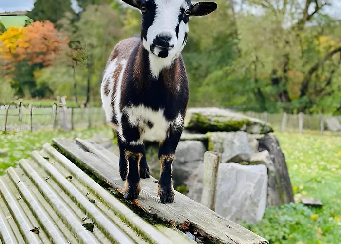 Apartment Riekeshof *